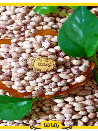 لوبیا چیتی 2